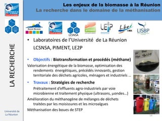 Les enjeux de la biomasse à la Réunion
                       La recherche dans le domaine de la méthanisation




                                           LCSNSA
                  • Laboratoires de l’Université de La Réunion
   LA RECHERCHE



                    LCSNSA, PIMENT, LE2P

                  • Objectifs : Biotransformation et procédés (méthane)
                  Valorisation énergétique de la biomasse, optimisation des
                      rendements énergétiques, précédés innovants, gestion
                      territoriale des déchets agricoles, ménagers et industriels …
                  • Travaux : Stratégies de recherche
                    Prétraitement d’effluents agro-industriels par voie
                    microbienne et traitement physique (ultrasons, ondes…)
                  Amélioration du méthanogène de mélanges de déchets
                    traitées par les moisissures et les microalgues
Université de     Méthanisation des boues de STEP
La Réunion                                                                            14
 