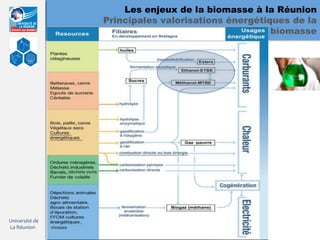 Les enjeux de la biomasse à la Réunion
                                        Principales valorisations énergétiques de la
                                                                           biomasse




                          , canne




                          , canne




                      , déchets verts




Université de               ,
La Réunion      vinasse
 