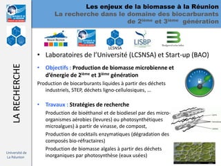 Les enjeux de la biomasse à la Réunion
                         La recherche dans le domaine des biocarburants
                                              de 2ième et 3ième génération



                                                 LCSNSA
                  • Laboratoires de l’Université (LCSNSA) et Start-up (BAO)
   LA RECHERCHE




                  • Objectifs : Production de biomasse microbienne et
                    d’énergie de 2ième et 3ième génération
                  Production de biocarburants liquides à partir des déchets
                     industriels, STEP, déchets ligno-cellulosiques, …

                  • Travaux : Stratégies de recherche
                     Production de bioéthanol et de biodiesel par des micro-
                     organismes aérobies (levures) ou photosynthétiques
                     microalgues) à partir de vinasse, de compost,
                     Production de cocktails enzymatiques (dégradation des
                     composés bio-réfractaires)
                     Production de biomasse algales à partir des déchets
Université de
La Réunion           inorganiques par photosynthèse (eaux usées)               18
 