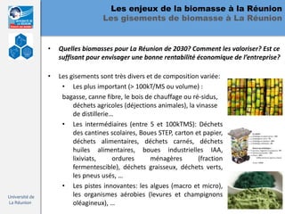 Les enjeux de la biomasse à la Réunion
                                   Les gisements de biomasse à La Réunion


                •   Quelles biomasses pour La Réunion de 2030? Comment les valoriser? Est ce
                    suffisant pour envisager une bonne rentabilité économique de l’entreprise?

                •   Les gisements sont très divers et de composition variée:
                     • Les plus important (> 100kT/MS ou volume) :
                     bagasse, canne fibre, le bois de chauffage ou ré-sidus,
                         déchets agricoles (déjections animales), la vinasse
                         de distillerie…
                     • Les intermédiaires (entre 5 et 100kTMS): Déchets
                         des cantines scolaires, Boues STEP, carton et papier,
                         déchets alimentaires, déchets carnés, déchets
                         huiles alimentaires, boues industrielles IAA,
                         lixiviats,     ordures     ménagères         (fraction
                         fermentescible), déchets graisseux, déchets verts,
                         les pneus usés, …
                     • Les pistes innovantes: les algues (macro et micro),
Université de            les organismes aérobies (levures et champignons
La Réunion               oléagineux), …
 