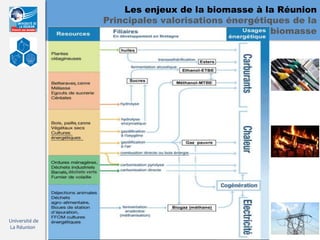 Les enjeux de la biomasse à la Réunion
                                  Principales valorisations énergétiques de la
                                                                     biomasse




                    , canne




                    , canne




                , déchets verts




Université de
La Réunion
 