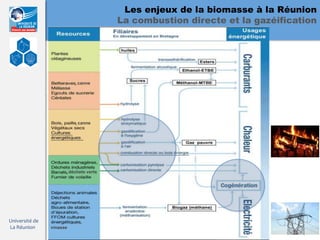 Les enjeux de la biomasse à la Réunion
                                        La combustion directe et la gazéification




                          , canne




                          , canne




                      , déchets verts




Université de               ,
La Réunion      vinasse
 