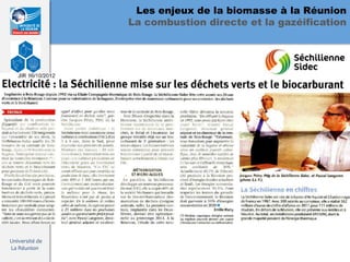 Les enjeux de la biomasse à la Réunion
                La combustion directe et la gazéification




Université de
La Réunion
 