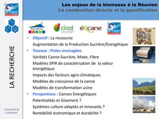 Les enjeux de la biomasse à la Réunion
                                  La combustion directe et la gazéification




                  • Objectif : La ressource
                    Augmentation de la Production Sucrière/Energétique
   LA RECHERCHE




                  • Travaux : Pistes envisagées
                    Variétés Canne Sucrière, Mixte, Fibre
                    Modèles SPIR de caractérisation de la valeur
                    énergétique
                    Impacts des facteurs agro-climatiques
                    Modèles de croissance de la canne
                    Modèles de transformation usine
                  • Perspectives : Cannes Energétiques
                    Potentialités et Gisement ?
                    Systèmes culture adaptés et innovants ?
Université de
La Réunion          Rentabilité économique et durabilité ?               8
 