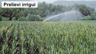 Prelievi irrigui
 