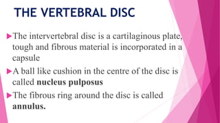 THE VERTEBRAL DISC
The intervertebral disc is a cartilaginous plate,
tough and fibrous material is incorporated in a
capsule
A ball like cushion in the centre of the disc is
called nucleus pulposus
The fibrous ring around the disc is called
annulus.
 