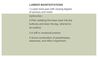 LUMBER MANIFESTATIONS
1.Lower back pain with varying degree
of sensory and motor
dysfunction.
2.Pain radiating the lower back into the
buttocks and down the leg, referred to
as sciatica.
3.A stiff or unnatural posture
4.Some combination of paresthesias,
weakness, and reflux impairment.
 