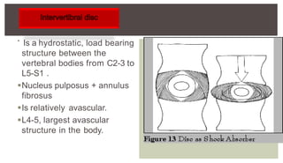 
Is a hydrostatic, load bearing
structure between the
vertebral bodies from C2-3 to
L5-S1 .
Nucleus pulposus + annulus
fibrosus
Is relatively avascular.
L4-5, largest avascular
structure in the body.
 