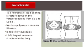 
Is a hydrostatic, load bearing
structure between the
vertebral bodies from C2-3 to
L5-S1 .
Nucleus pulposus + annulus
fibrosus
Is relatively avascular.
L4-5, largest avascular
structure in the body.
 