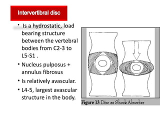 • Is a hydrostatic, load
  bearing structure
  between the vertebral
  bodies from C2-3 to
  L5-S1 .
• Nucleus pulposus +
  annulus fibrosus
• Is relatively avascular.
• L4-5, largest avascular
  structure in the body.
 