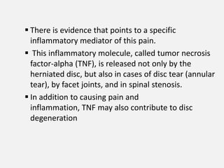  There is evidence that points to a specific
  inflammatory mediator of this pain.
 This inflammatory molecule, called tumor necrosis
  factor-alpha (TNF), is released not only by the
  herniated disc, but also in cases of disc tear (annular
  tear), by facet joints, and in spinal stenosis.
 In addition to causing pain and
  inflammation, TNF may also contribute to disc
  degeneration
 