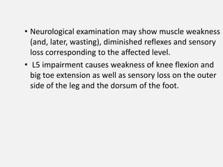 • Neurological examination may show muscle weakness
  (and, later, wasting), diminished reflexes and sensory
  loss corresponding to the affected level.
• L5 impairment causes weakness of knee flexion and
  big toe extension as well as sensory loss on the outer
  side of the leg and the dorsum of the foot.
 