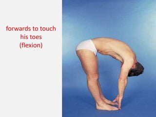 forwards to touch
    his toes
    (flexion)
 