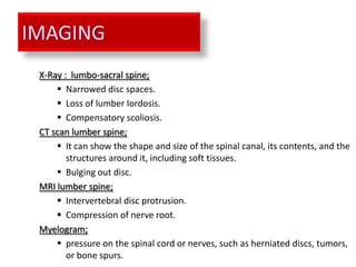 X-Ray : lumbo-sacral spine;
     Narrowed disc spaces.
     Loss of lumber lordosis.
     Compensatory scoliosis.
CT scan lumber spine;
     It can show the shape and size of the spinal canal, its contents, and the
       structures around it, including soft tissues.
     Bulging out disc.
MRI lumber spine;
     Intervertebral disc protrusion.
     Compression of nerve root.
Myelogram;
     pressure on the spinal cord or nerves, such as herniated discs, tumors,
       or bone spurs.
 