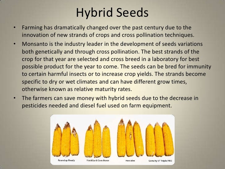 Hybrid Seeds in Farming