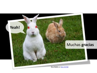 Yeah!


                                  Muchas gracias



        Deux Rabbits por Nick / KC7CBF
 