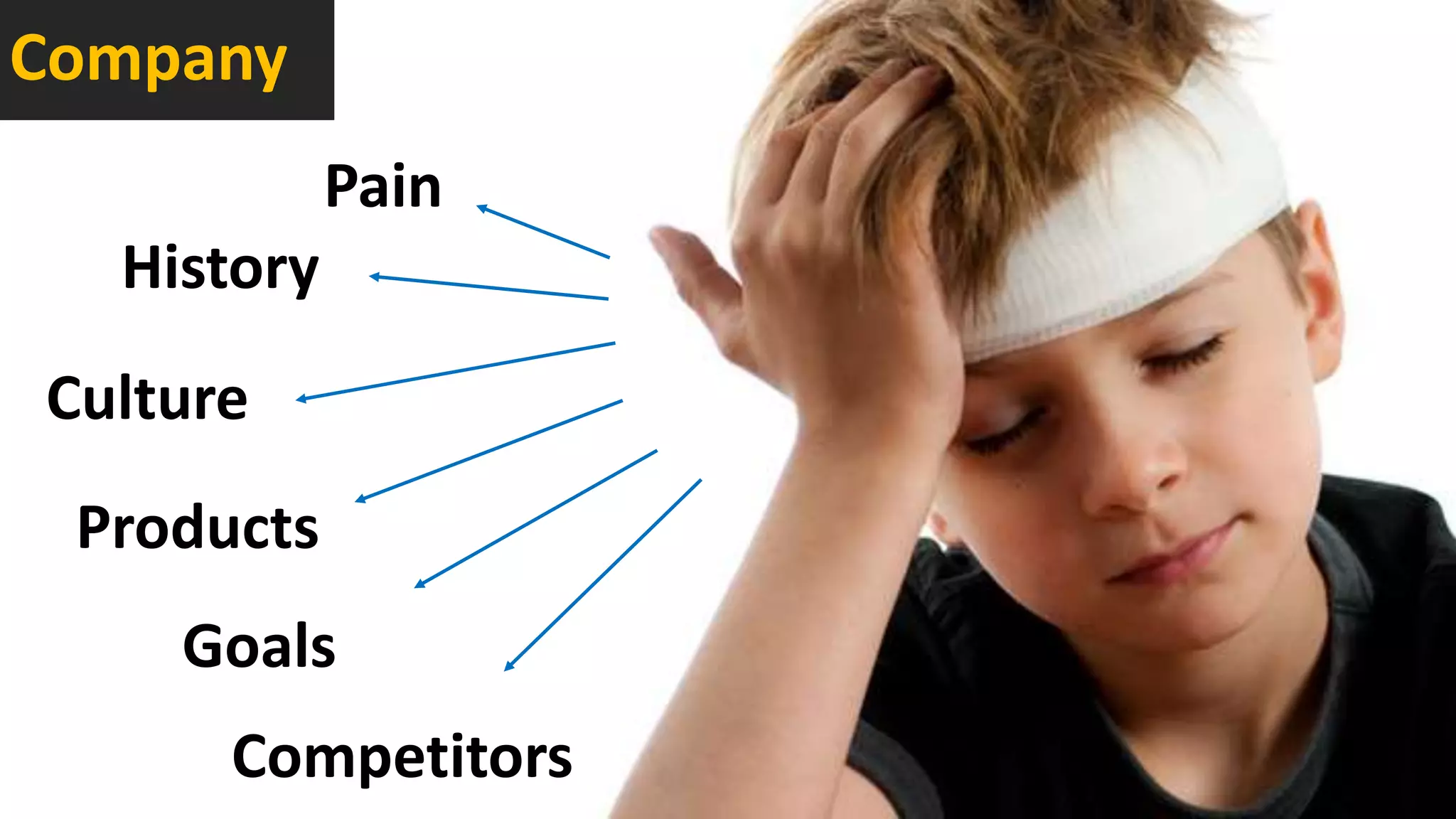 History
Culture
Goals
Products
Competitors
Pain
Company