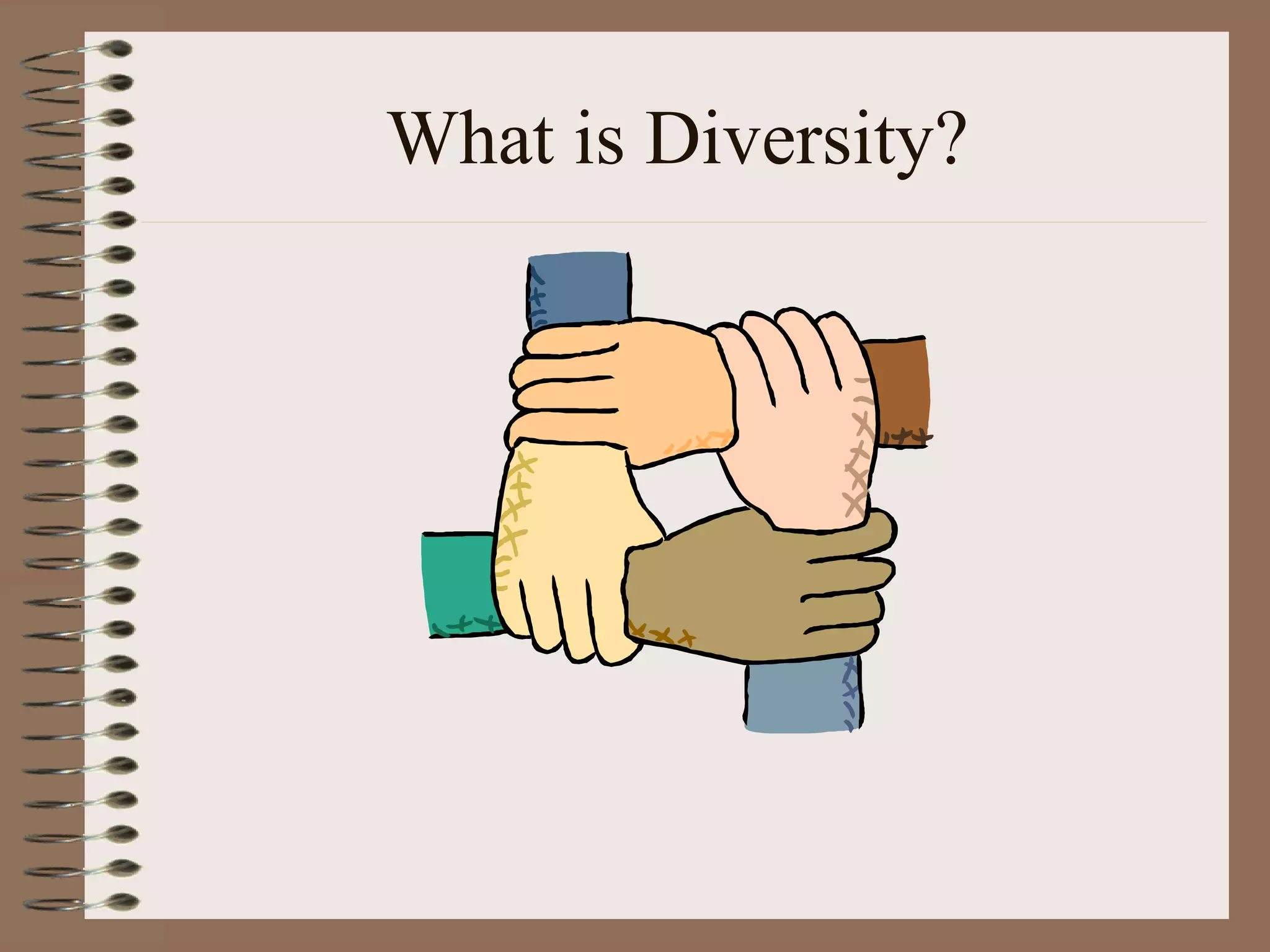 What is Diversity? 