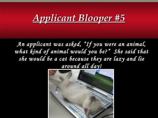 An applicant was asked, “If you were an animal,
what kind of animal would you be?” She said that
she would be a cat because they are lazy and lie
around all day!
Applicant Blooper #5Applicant Blooper #5
 