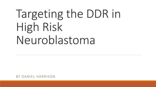 Targeting the DDR in
High Risk
Neuroblastoma
BY DANIEL HARRISON
 