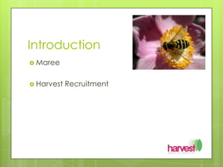 IntroductionMareeHarvest Recruitment