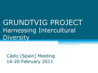 GRUNDTVIG PROJECT Harnessing Intercultural Diversity  Cádiz (Spain) Meeting 16-20 February 2011 