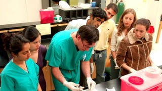 Interview synthesis | PDF