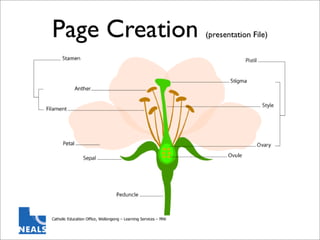 Interwrite Whiteboard - Getting Started
