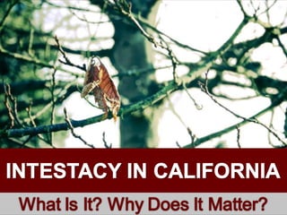 Intestacy in Northern California: What Is It What Does It Matter