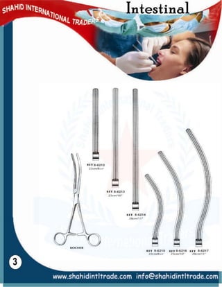 Intestinal | PDF