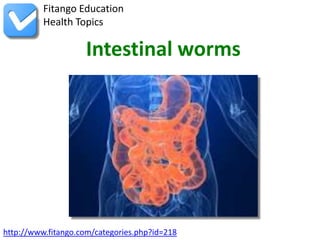 Fitango Education
          Health Topics

                    Intestinal worms




http://www.fitango.com/categories.php?id=218
 
