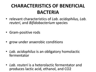 CHARACTERISTICS OF BENEFICIAL
BACTERIA
• relevant characteristics of Lab. acidophilus, Lab.
reuteri, and Bifidobacterium species
• Gram-positive rods
• grow under anaerobic conditions
• Lab. acidophilus is an obligatory homolactic
fermentator
• Lab. reuteri is a heterolactic fermentator and
produces lactic acid, ethanol, and CO2
 