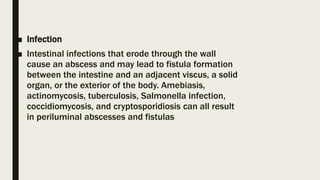 Intestinal fistula (Naqvi Syed Noor group 11) copy.pptx