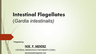 Intestinal Flagellates
(Gardia intestinalis)
Prepared by:
NOE P. MENDEZ
CENTRAL MINDANAO UNIVERSITY (CMU)
npolomendez@gmail.com
 