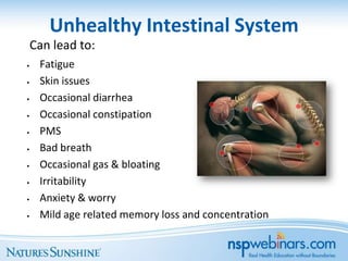 Unhealthy Intestinal System
    Can lead to:
•    Fatigue
•    Skin issues
•    Occasional diarrhea
•    Occasional constipation
•    PMS
•    Bad breath
•    Occasional gas & bloating
•    Irritability
•    Anxiety & worry
•    Mild age related memory loss and concentration
 