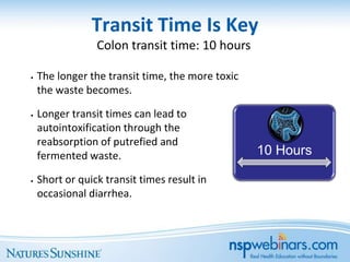 Transit Time Is Key
                 Colon transit time: 10 hours

•   The longer the transit time, the more toxic
    the waste becomes.

•   Longer transit times can lead to
    autointoxification through the
    reabsorption of putrefied and
    fermented waste.                              10 Hours

•   Short or quick transit times result in
    occasional diarrhea.
 