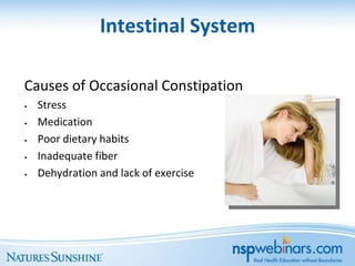 Intestinal System

Causes of Occasional Constipation
•   Stress
•   Medication
•   Poor dietary habits
•   Inadequate fiber
•   Dehydration and lack of exercise
 