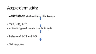 Atopic dermatitis:
• ACUTE STAGE: dysfunctional skin barrier
• TSLP,IL-33, IL-25
• Activate typer-2 innate lymphoid cells
• Release of IL-13 and IL-5
• Th2 response
 