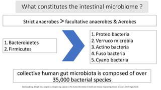 What constitutes the intestinal microbiome ?
collective human gut microbiota is composed of over
35,000 bacterial species
Strict anaerobes >facultative anaerobes & Aerobes
1.Bacteroidetes
2.Firmicutes
1.Proteo bacteria
2.Verruco microbia
3.Actino bacteria
4.Fuso bacteria
5.Cyano bacteria
Baohong Wang, Mingfei Yao, Longxian Lv, Zongxin Ling, Lanjuan Li,The Human Microbiota in Health and Disease, Engineering,Volume 3, Issue 1, 2017, Pages 71-82.
 