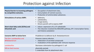 Protection against Infection
Physical barrier to incoming pathogens
by competitive exclusion,
• Occupation of attachment sites,
• Consumption of nutrient sources,
• Production of antimicrobial substances.
Stimulations of various AMPs • defensins,
• cathelicidins,
• C-type lectins,
• Directs paneth cell to express AMP
Short-chain fatty acids (SCFAs) and
lithocholic acid
• Induce expression of LL-37 cathelicidin
• The induction involved the MEK/ERK pathway, AP-1 transcription factor,
and histone acetylation
Converts AMP to Active form Prodefensin to defensin by B. thetaiotaomicron
The Gm+ Lactobacillus and
Bifidobacterium
Prevents Listeria infection
• elaboration of secreted compounds
• modulation of the epithelial cells’ immune response
Lactobacillus Decreases colonization by pathogenic E. coli
SFB on ileal mucosa physically exclude
S. enteritidis from its attachment sites
 