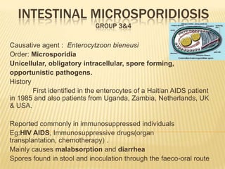 Intestinal microsporidiosisgroup 3&4  Causative agent :  Enterocytzoon bieneusi Order: Microsporidia Unicellular, obligatory intracellular, spore forming, opportunistic pathogens. History             First identified in the enterocytes of a Haitian AIDS patient in 1985 and also patients from Uganda, Zambia, Netherlands, UK & USA. Reported commonly in immunosuppressed individuals Eg:HIV AIDS, Immunosuppressive drugs(organ transplantation, chemotherapy) . Mainly causes malabsorption and diarrhea Spores found in stool and inoculation through the faeco-oral route 