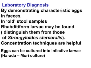 Laboratory Diagnosis
By demonstrating characteristic eggs
in faeces.
In ‘old’ stool samples
Rhabditiform larvae may be found
( distinguish them from those
of Strongyloides stercoralis).
Concentration techniques are helpful
Eggs can be cultured into infective larvae
(Harada – Mori culture)
 