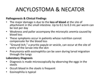 ANCYLOSTOMA & NECATOR
Pathogenesis & Clinical Findings
• The major damage is due to the loss of blood at the site of
attachment in the small intestine. Up to 0.1 to 0.3 mL per worm can
be lost per day
• Weakness and pallor accompany the microcytic anemia caused by
blood loss
• These symptoms occur in patients whose nutrition cannot
compensate for the blood loss
• "Ground itch," a pruritic papule or vesicle, can occur at the site of
entry of the larvae into the skin
• Pneumonia with eosinophilia can be seen during larval migration
through the lungs
Laboratory Diagnosis
• Diagnosis is made microscopically by observing the eggs in the
stools
• Occult blood in the stools is frequent
• Eosinophilia is typical
 