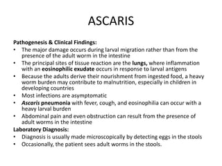 ASCARIS
Pathogenesis & Clinical Findings:
• The major damage occurs during larval migration rather than from the
presence of the adult worm in the intestine
• The principal sites of tissue reaction are the lungs, where inflammation
with an eosinophilic exudate occurs in response to larval antigens
• Because the adults derive their nourishment from ingested food, a heavy
worm burden may contribute to malnutrition, especially in children in
developing countries
• Most infections are asymptomatic
• Ascaris pneumonia with fever, cough, and eosinophilia can occur with a
heavy larval burden
• Abdominal pain and even obstruction can result from the presence of
adult worms in the intestine
Laboratory Diagnosis:
• Diagnosis is usually made microscopically by detecting eggs in the stools
• Occasionally, the patient sees adult worms in the stools.
 
