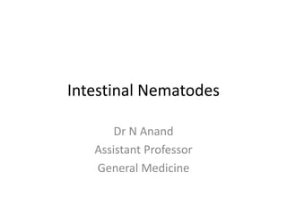 Intestinal Nematodes
Dr N Anand
Assistant Professor
General Medicine
 