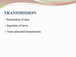 TRANSMISSION
 Penetration of skin.
 Ingestion of larva.
 Trans-placental transmission.
 