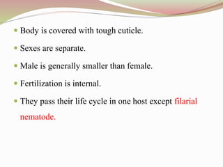  Body is covered with tough cuticle.
 Sexes are separate.
 Male is generally smaller than female.
 Fertilization is internal.
 They pass their life cycle in one host except filarial
nematode.
 