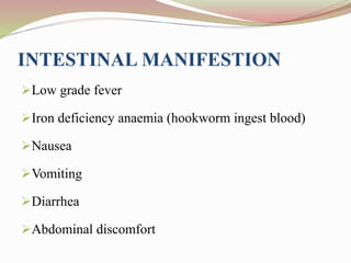 INTESTINAL MANIFESTION
Low grade fever
Iron deficiency anaemia (hookworm ingest blood)
Nausea
Vomiting
Diarrhea
Abdominal discomfort
 