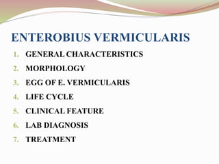 ENTEROBIUS VERMICULARIS
1. GENERAL CHARACTERISTICS
2. MORPHOLOGY
3. EGG OF E. VERMICULARIS
4. LIFE CYCLE
5. CLINICAL FEATURE
6. LAB DIAGNOSIS
7. TREATMENT
 
