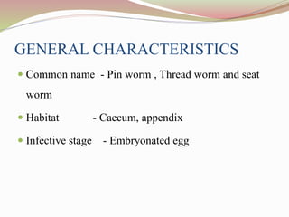 GENERAL CHARACTERISTICS
 Common name - Pin worm , Thread worm and seat
worm
 Habitat - Caecum, appendix
 Infective stage - Embryonated egg
 